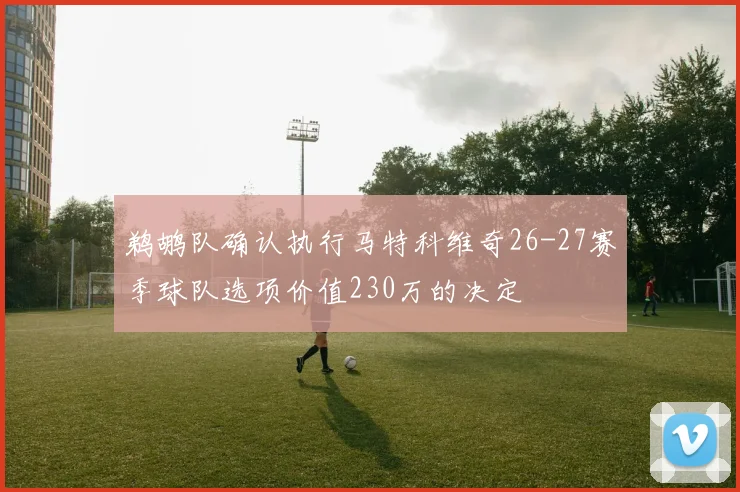 鹈鹕队确认执行马特科维奇26-27赛季球队选项价值230万的决定